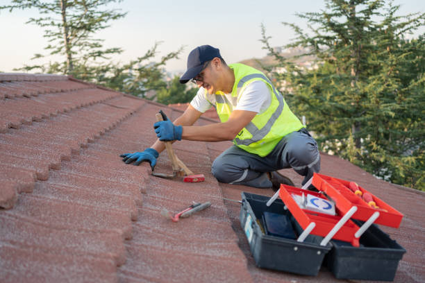 Roof Gutter Cleaning in New Castle, PA